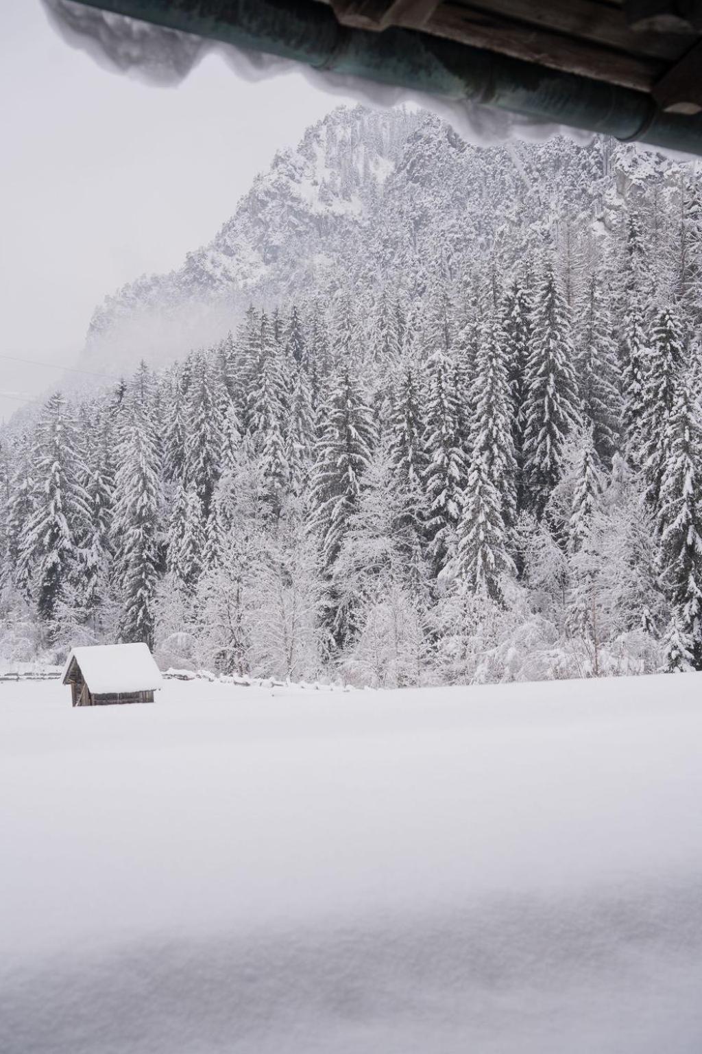 Fruehstueckspension Auer - Haus Kargl Шладминг Екстериор снимка